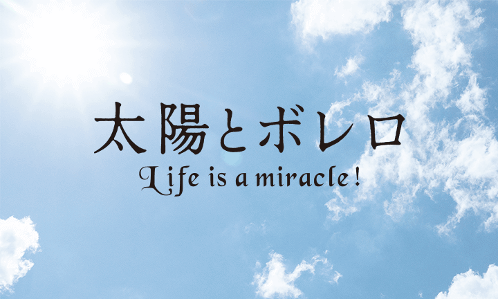 「太陽とボレロ」公開を応援していただいているアマチュアオーケストラのみなさま